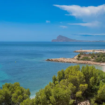 Costablancadreams Girasoles In Altea Mascarat Altea la Vieja